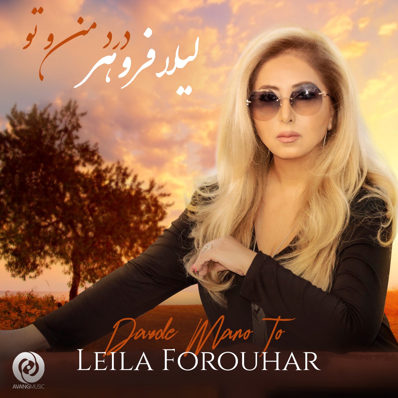 لیلا فروهر درد من و تو